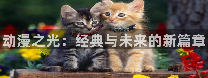 51动漫官网版